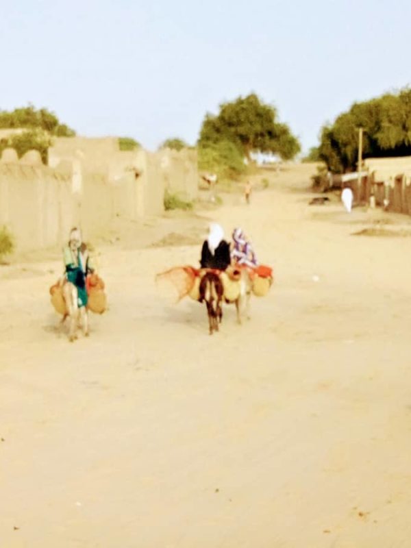 Malnutrition au Bahr el gazal : « Traiter les animaux pour que les enfants s’en portent mieux »