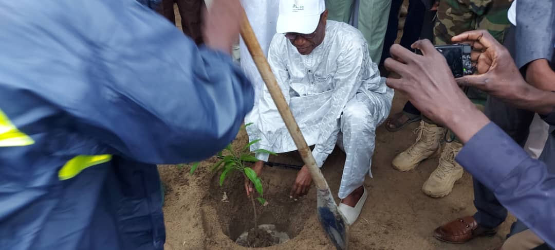 La Semaine nationale de l’arbre, édition 2023 est lancée 1