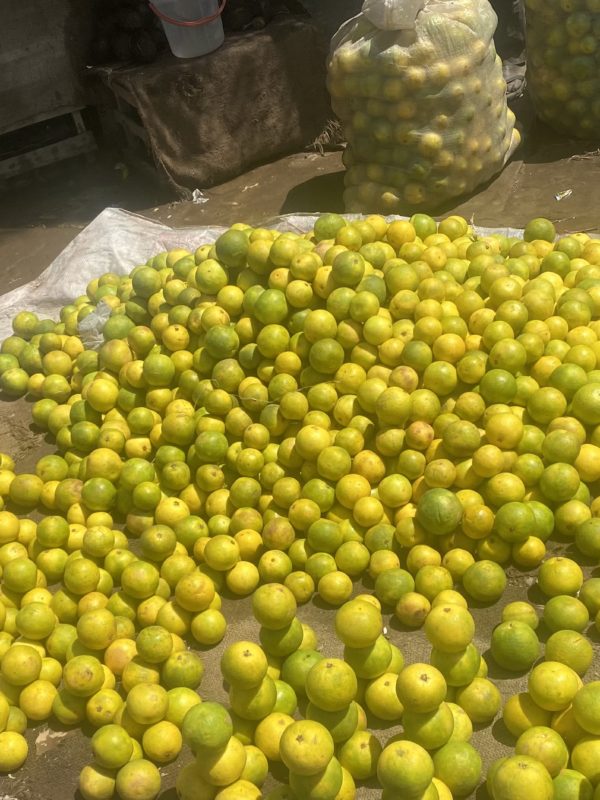 Fruit de saison : le temps de l’orange et ses vertus