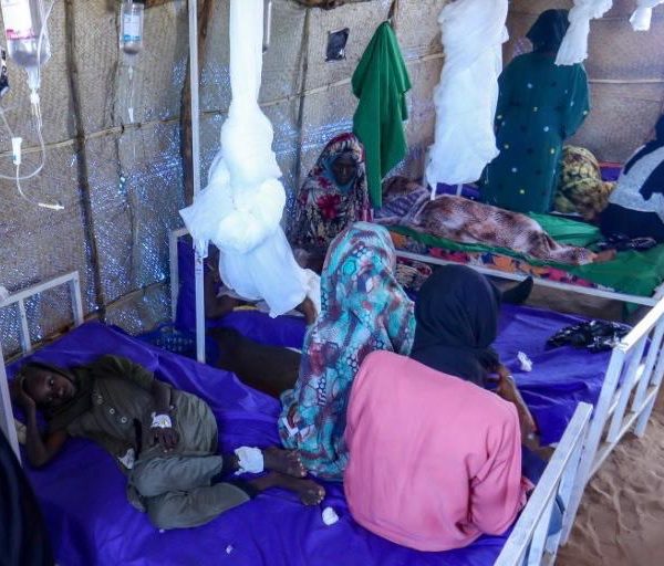 Prolifération des moustiques à N’Djamena, gare au paludisme