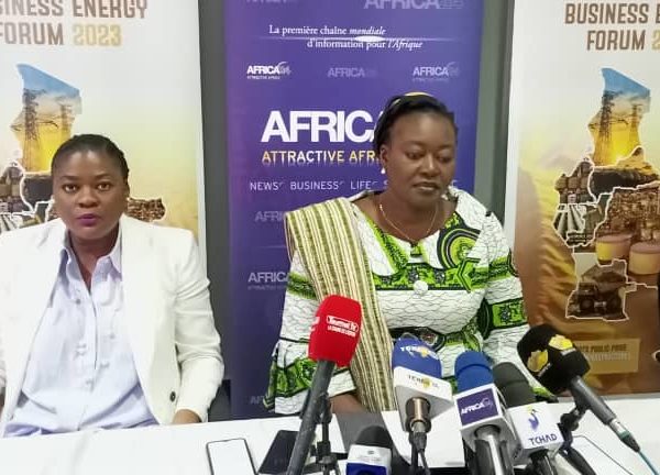 N’Djamena abritera la 3ème édition du Central african  business energy forum