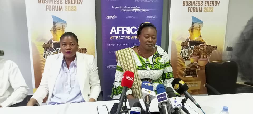 N’Djamena abritera la 3ème édition du Central african  business energy forum 1