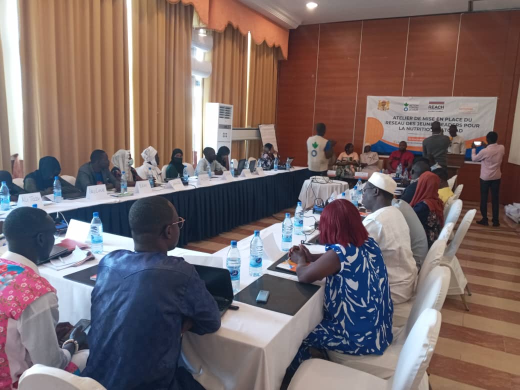 Tchad : Acf et le gouvernement  mettent en place un  réseau des jeunes pour la nutrition 1