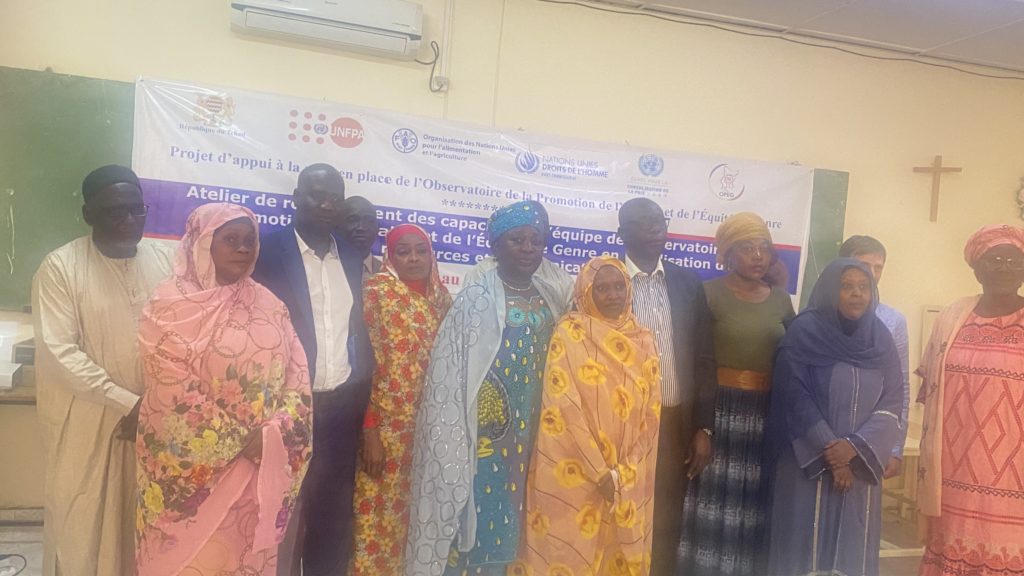 Gender equality and equity in Chad: the Ministry of Women and FAO strengthen the capacity of the OPEG team in resource mobilization and communication Gender equality and equity in Chad: the Ministry of Women and FAO strengthen the capacity of the OPEG team in resource mobilization and communication
