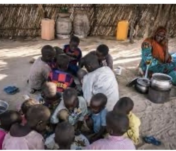 Tchad : le Gouvernement déclenche son plan national d’urgence de réponse à la période de soudure