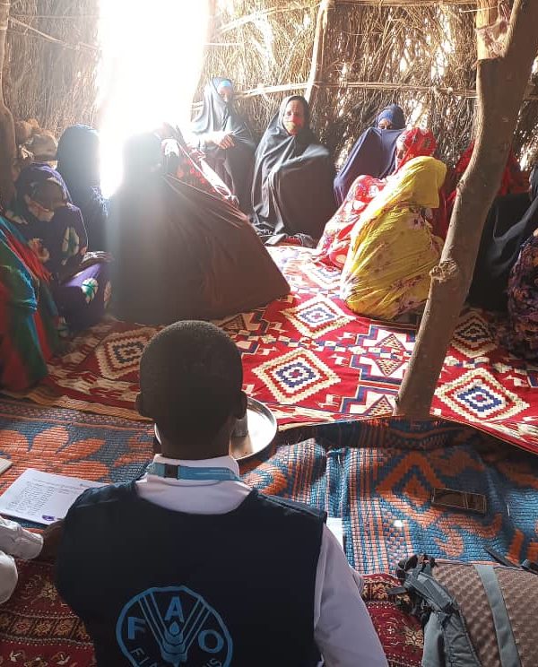 La Fao organise un atelier de collecte et de sensibilisation au Kanem