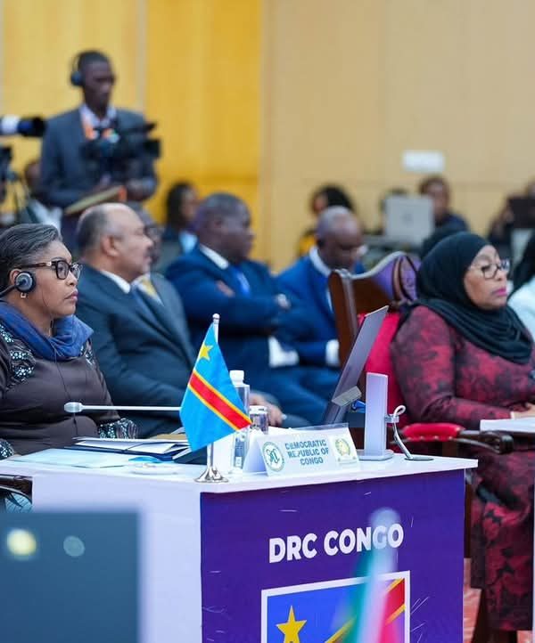Tanzanie: un sommet dédié à la crise  à l’Est de la RDC