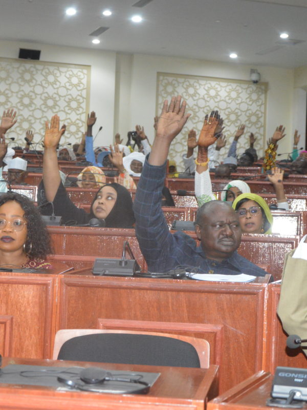Tchad : le parlement fixe les règles pour débattre sur le programme politique du nouveau gouvernement