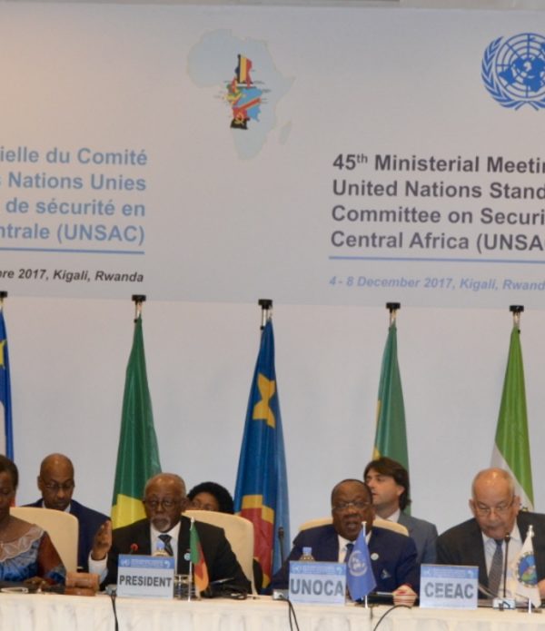UNSAC: la situation humanitaire en Afrique centrale au cœur de la 59ème réunion