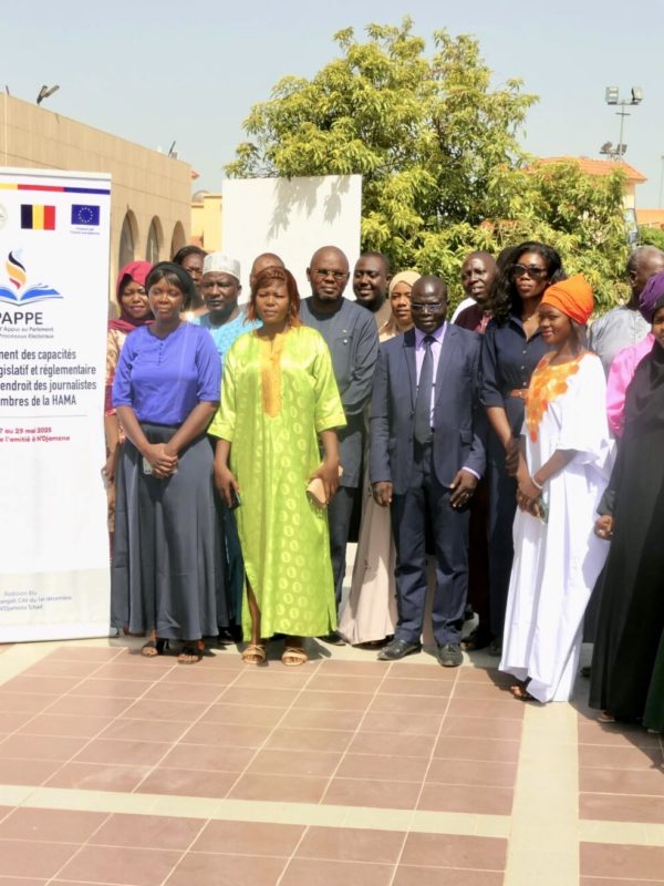 Tchad :  le  PAPPE  renforce les capacités des responsables des médias  sur le cadre législatif et réglementaire