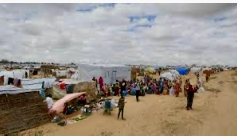 Ouaddaï. : 4 décès de choléra enregistrés  dans le camp de réfugiés de Dougui 1