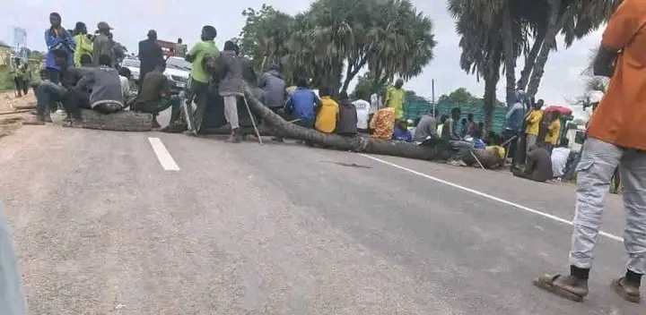 Bongor : six enfants meurent dans un accident circulation 1