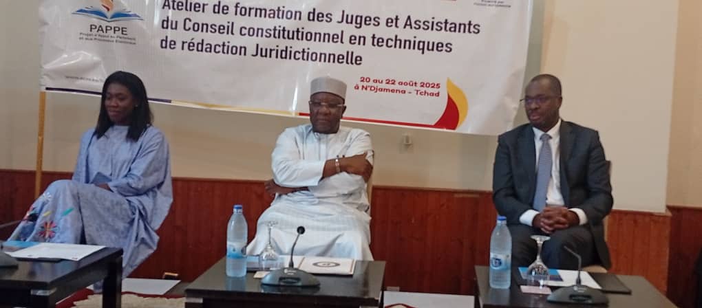 Les juges et les membres du Conseil Constitutionnel outillés en techniques de rédaction juridictionnelle 1