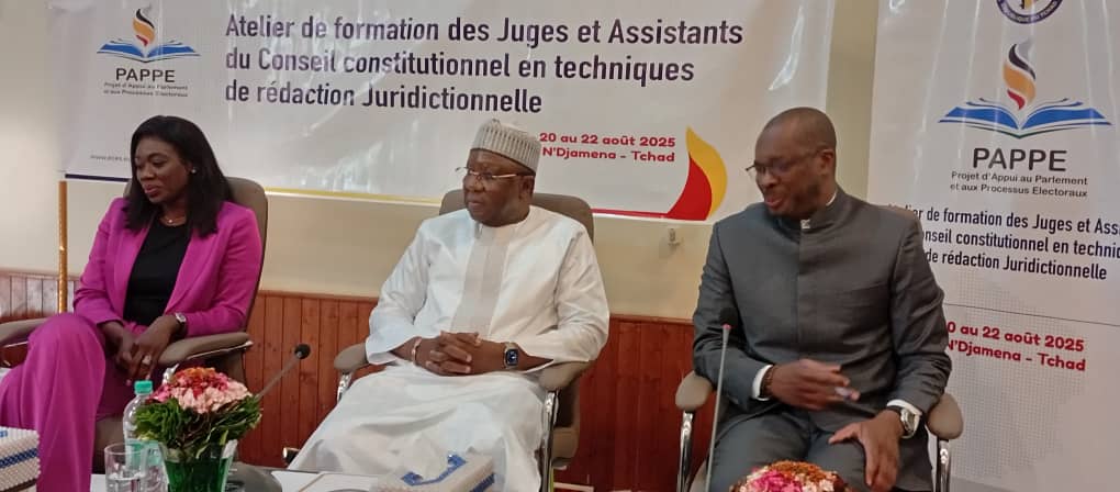 Le Pappe outille les membres du Conseil constitutionnel en techniques de rédaction juridictionnelle 1