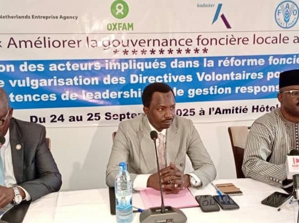 Tchad : Formation sur les directives volontaires pour une gestion responsable du foncier dans le cadre de la réforme foncière