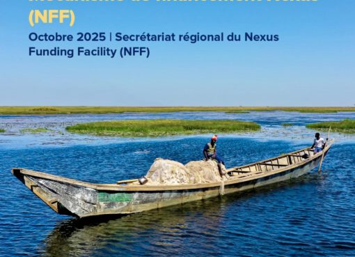 Bassin du lac Tchad : le NFF lance la phase 1 de son appel à projets intégrés et transfrontaliers