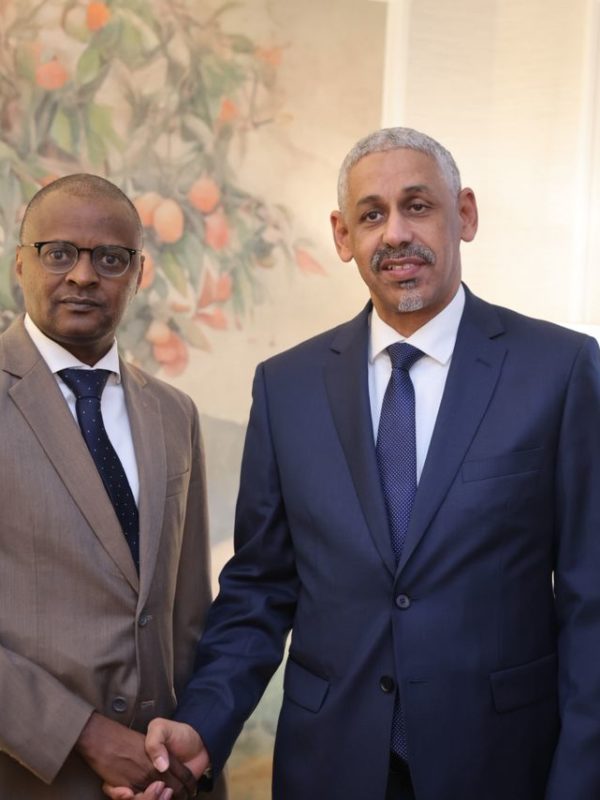 Partenariat renforcé : la BAD accompagnera le Tchad dans ses grands projets de développement