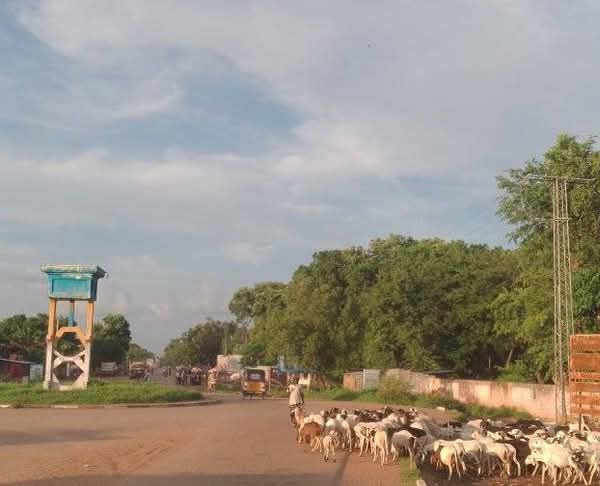Mandoul central : conflit en cours entre agriculteurs et éleveurs dans les villages Toura 2 et Ndan