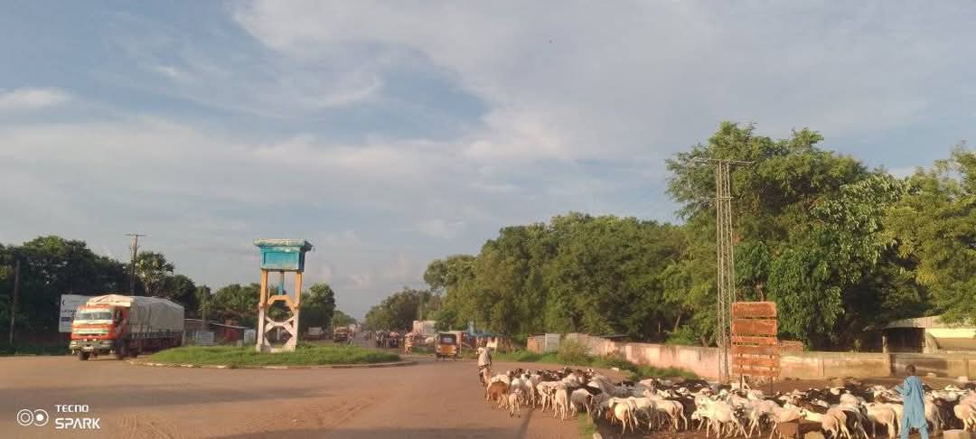 Mandoul central : conflit en cours entre agriculteurs et éleveurs dans les villages Toura 2 et Ndan 1