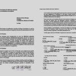 Migration irrégulière en Turquie : l’Ambassade du Tchad met en garde ses ressortissants 2 Migration irrégulière en Turquie : l’Ambassade du Tchad met en garde ses ressortissants 2