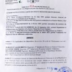 Arnaque au visa en ligne : le Tchad met en garde contre un site frauduleux 2