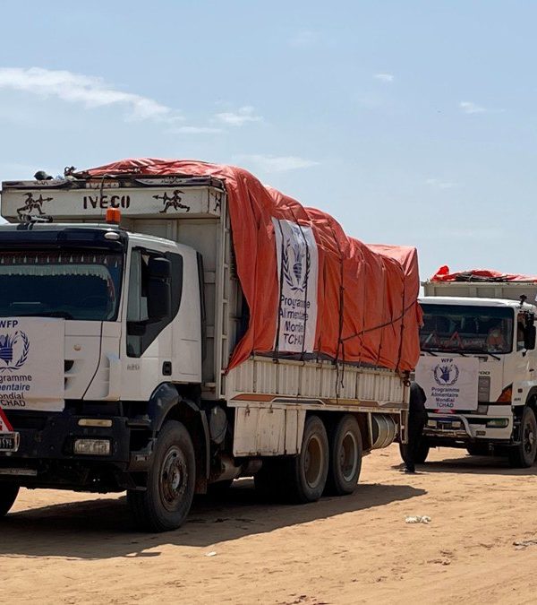 « Les escortes armées dans l’Est du Tchad ont coûté 901 700 $ aux agences des Nations Unies »