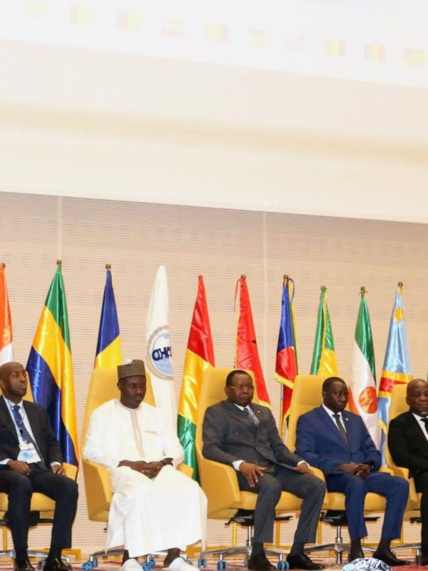 60e session du Conseil des ministres de l’OHADA : les travaux lancés à N’Djaména
