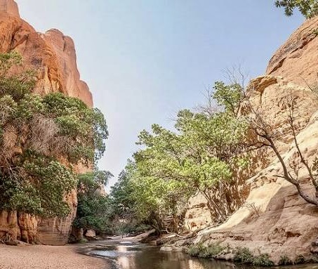Incident au FICSA : un touriste porté disparu  dans la vallée de l’Arche de Joulia 1