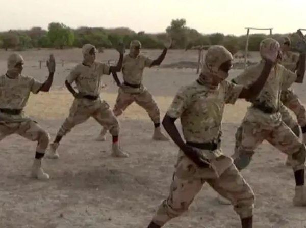 Les ambitions expansionnistes du Jnim en Afrique de l&rsquo;ouest