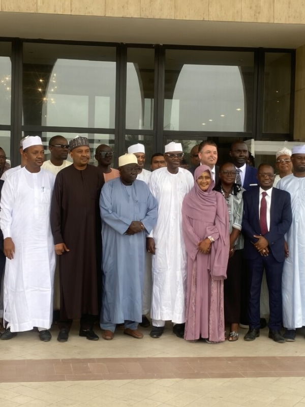 Tchad : l’INSEED dévoile les statistiques économiques 2024-2025