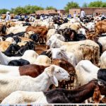 Tchad : vers une prolongation de l’état d’urgence au Lac 2