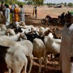 Tchad : Les magistrats rejettent les excuses du gouvernement et maintiennent leur plainte contre  le ministre de la Sécurité 3