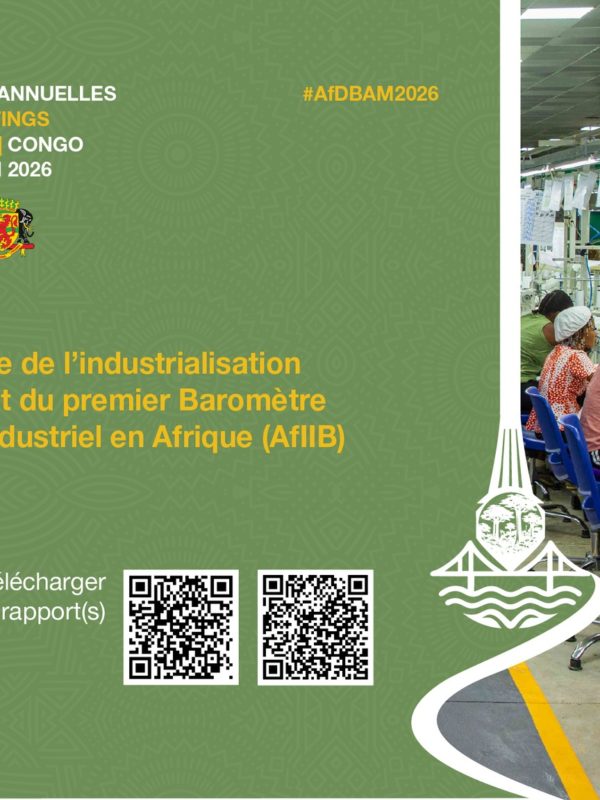La BAD dévoile ses nouveaux outils pour mesurer l&rsquo;industrialisation de l&rsquo;Afrique
