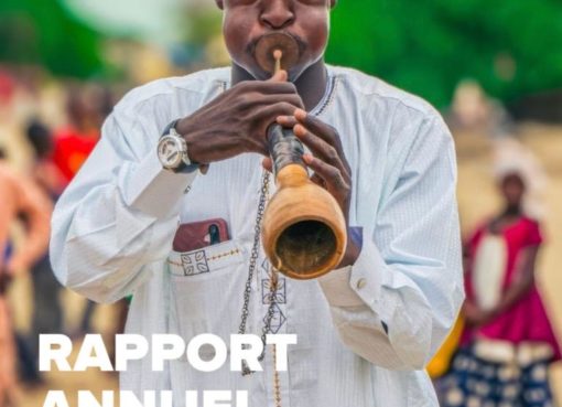 Rapport PNUD 2025