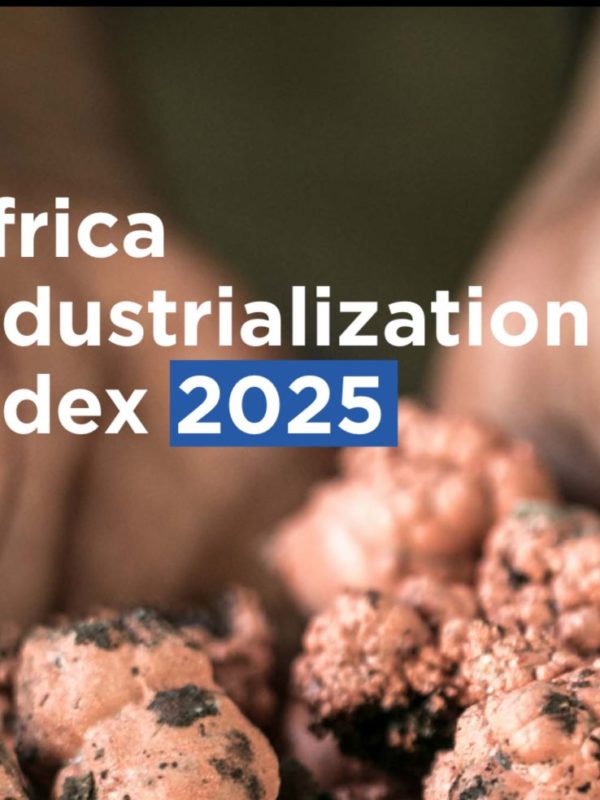 Le Tchad parmi les pays les moins industrialisés d’Afrique