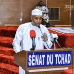 Banderoles publicitaires : la Commune de N'Djaména rappelle les règles à respecter 3 Banderoles publicitaires : la Commune de N'Djaména rappelle les règles à respecter 3