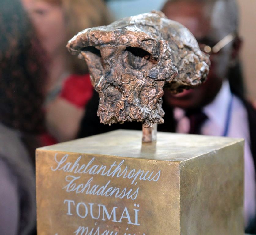 N'Djaména accueille, les 21 et 22 juillet, un colloque international pour célébrer les 25 ans de Toumaï 1