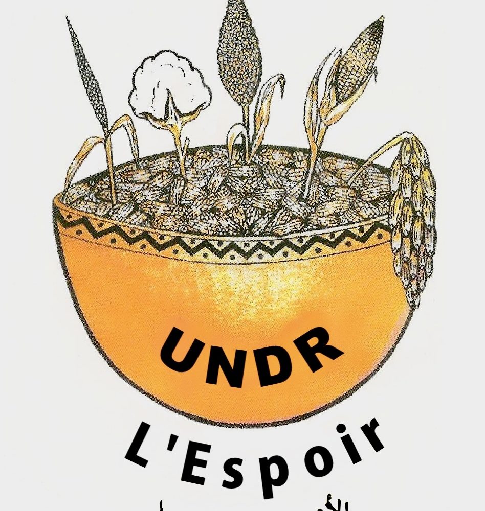 Après la grâce présidentielle, l’UNDR appelle à une nouvelle étape du dialogue politique 1 Après la grâce présidentielle, l’UNDR appelle à une nouvelle étape du dialogue politique 1