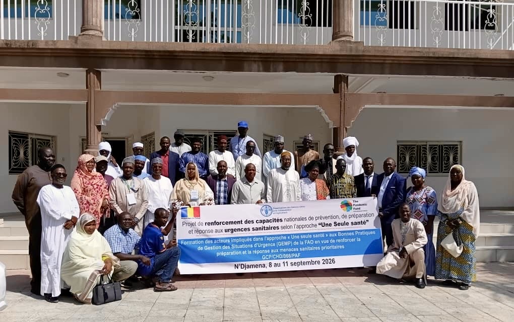 Tchad : la FAO renforce les capacités de prévention et de réponse aux urgences zoosanitaires 1