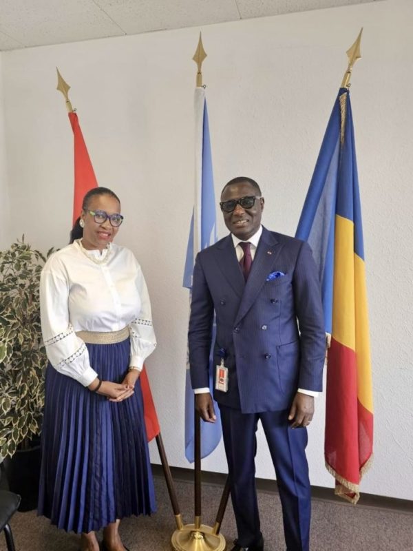 Tchad-CIR : un programme estimé à 6,5 millions de dollars pour diversifier l’économie tchadienne