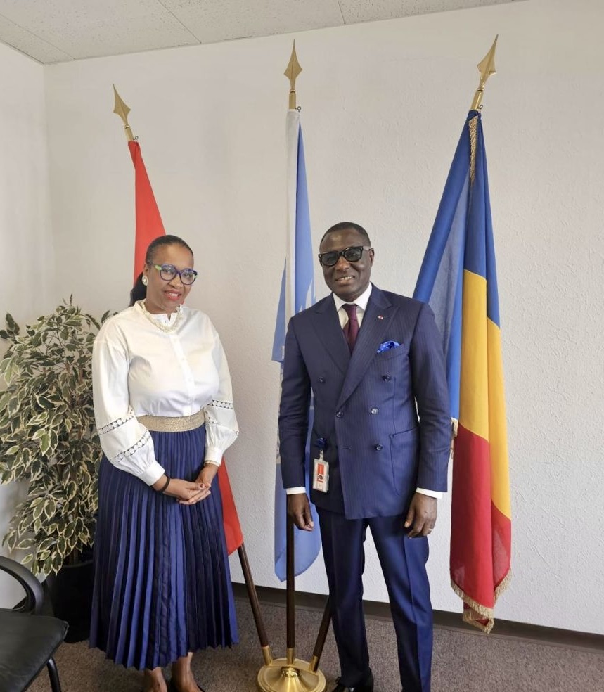 Tchad-CIR : un programme estimé à 6,5 millions de dollars pour diversifier l’économie tchadienne 1 Tchad-CIR : un programme estimé à 6,5 millions de dollars pour diversifier l’économie tchadienne 1