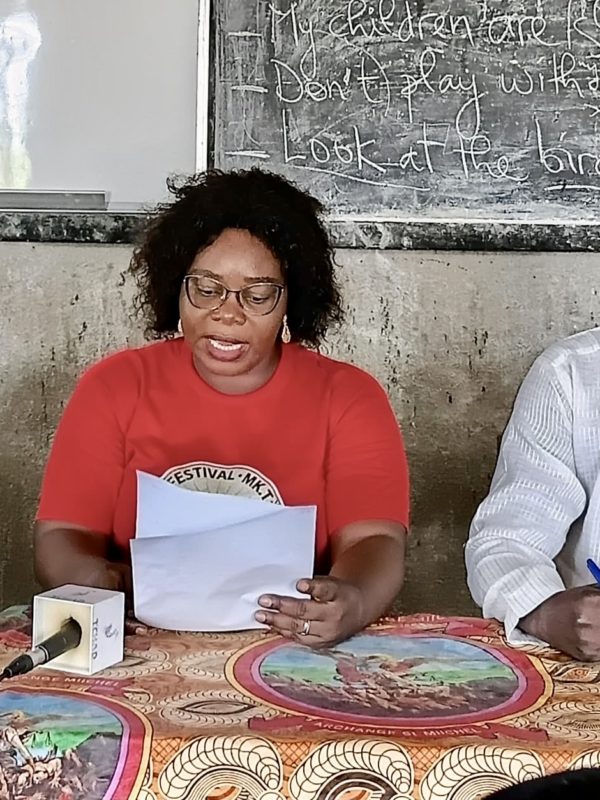 N’Djaména : la première édition du Festival Mayo-Kebbi et Tandjilé prévue du 5 au 8 novembre