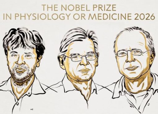 Karl Deisseroth, Peter Hegemann and Georg Nagel, winners of the 2026 Nobel Prize in Medicine.