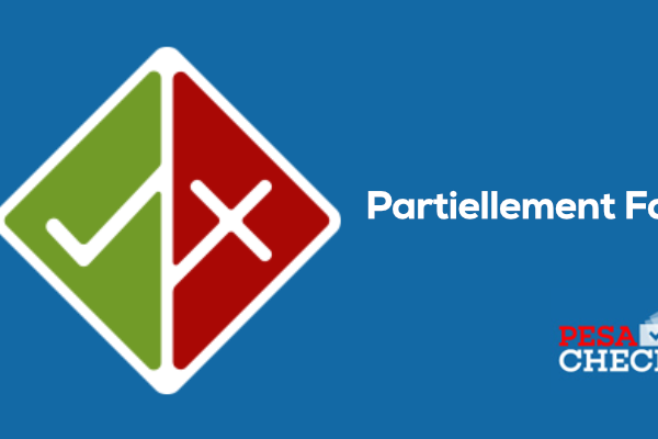 PARTIELLEMENT FAUX : Cette image d&rsquo;un pont au Tchad n&rsquo;a pas été générée par l&rsquo;intelligence artificielle